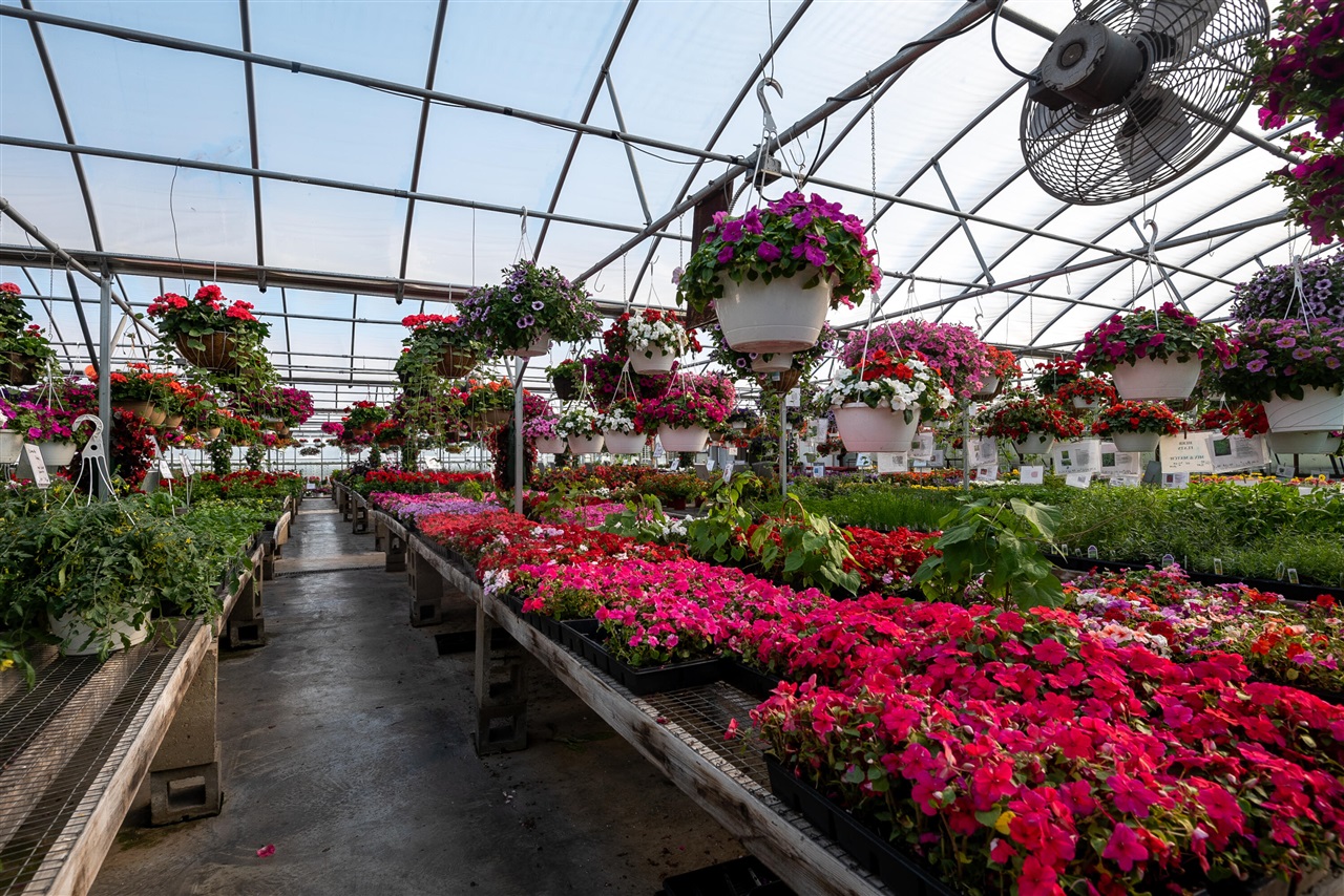 8627 Cleveland Avenue, Baroda, MI, 49101-9368