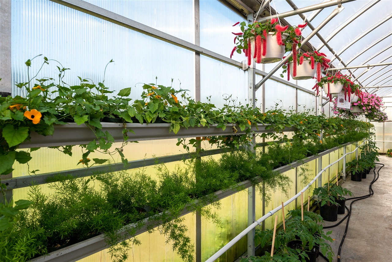 8627 Cleveland Avenue, Baroda, MI, 49101-9368