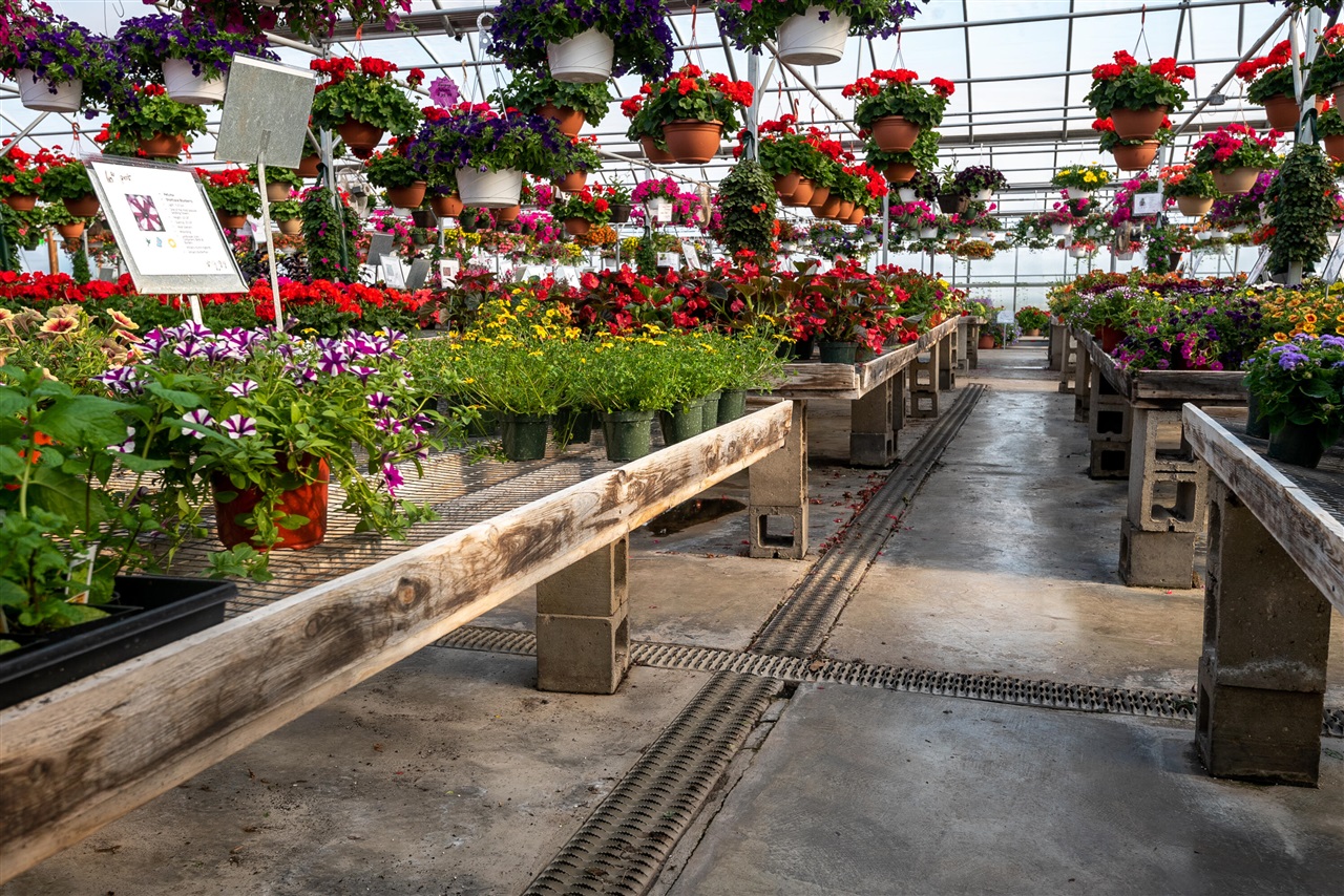 8627 Cleveland Avenue, Baroda, MI, 49101-9368