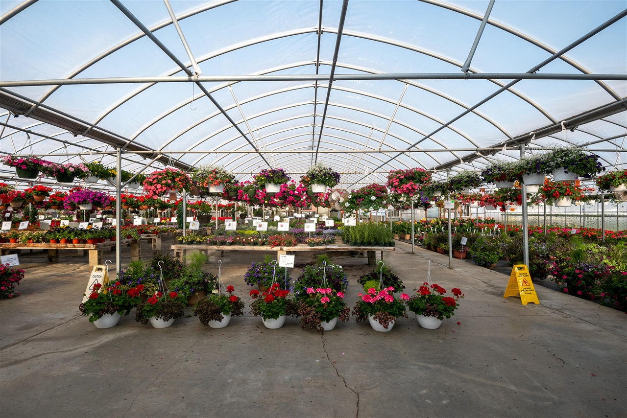 8627 Cleveland Avenue, Baroda, MI, 49101-9368