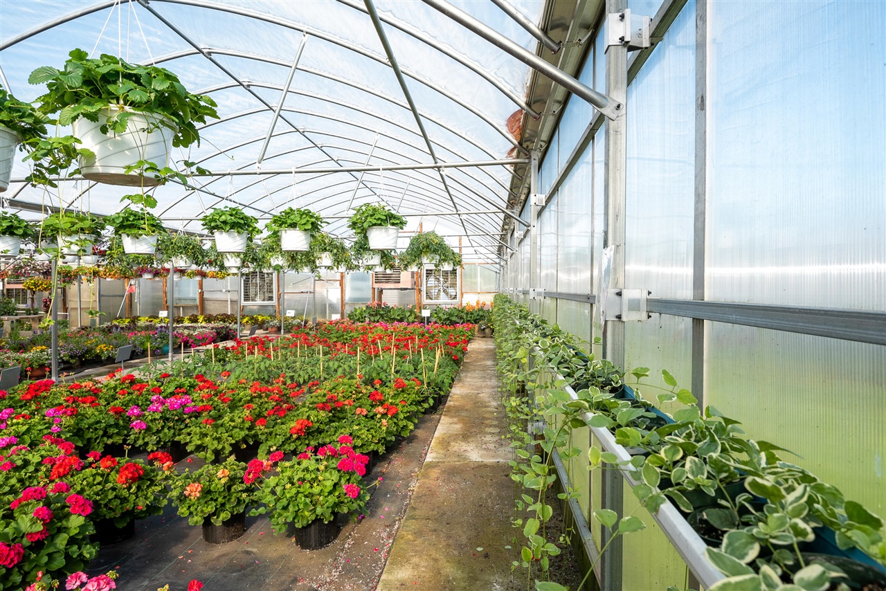 8627 Cleveland Avenue, Baroda, MI, 49101-9368