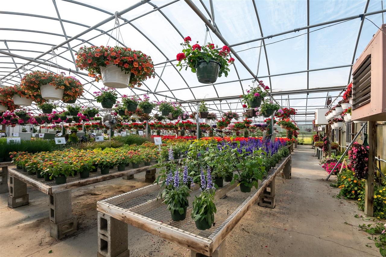 8627 Cleveland Avenue, Baroda, MI, 49101-9368