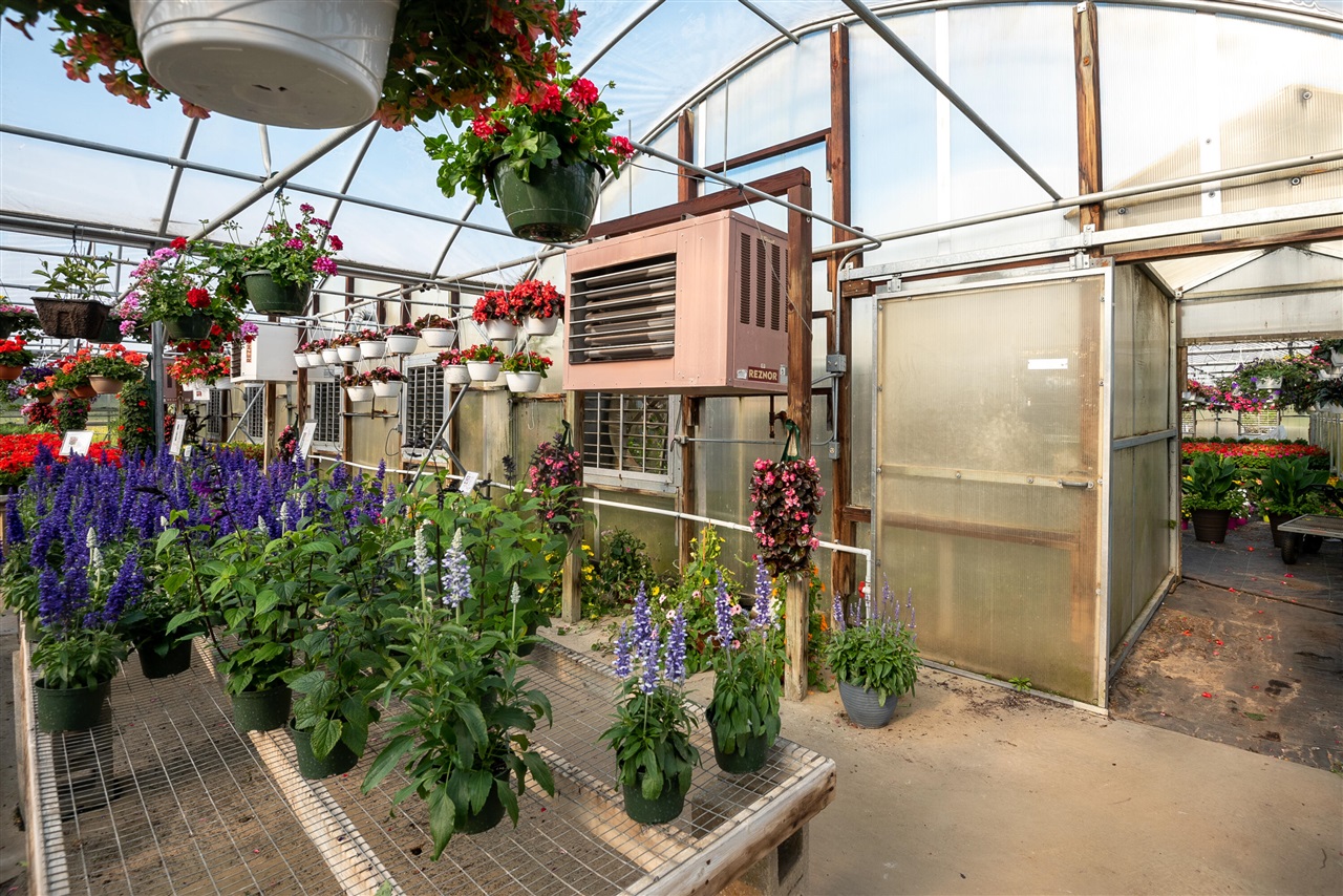 8627 Cleveland Avenue, Baroda, MI, 49101-9368