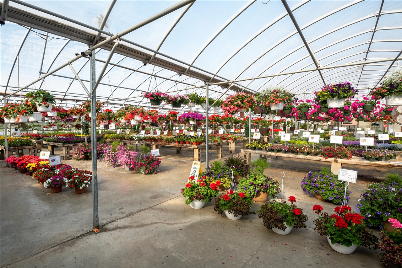 8627 Cleveland Avenue, Baroda, MI, 49101-9368