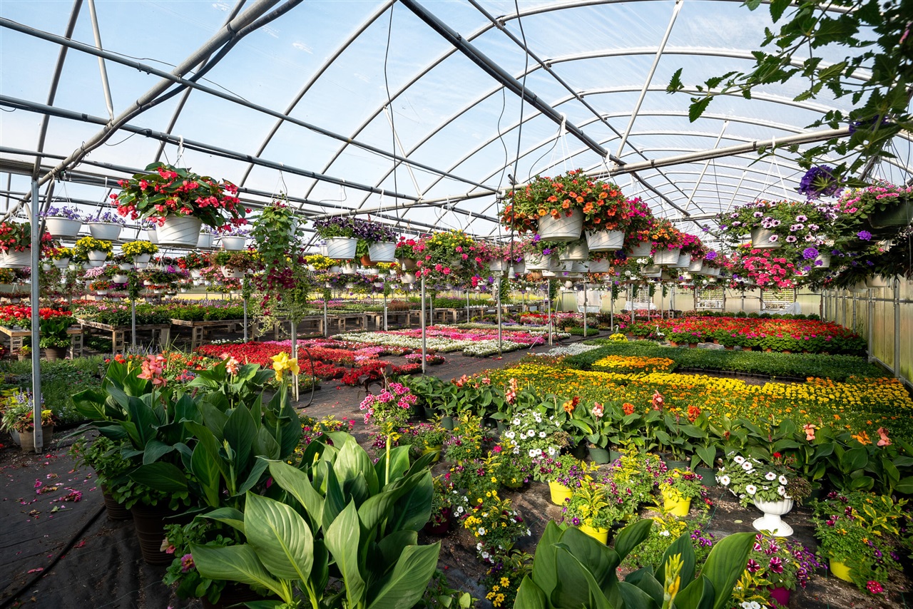 8627 Cleveland Avenue, Baroda, MI, 49101-9368