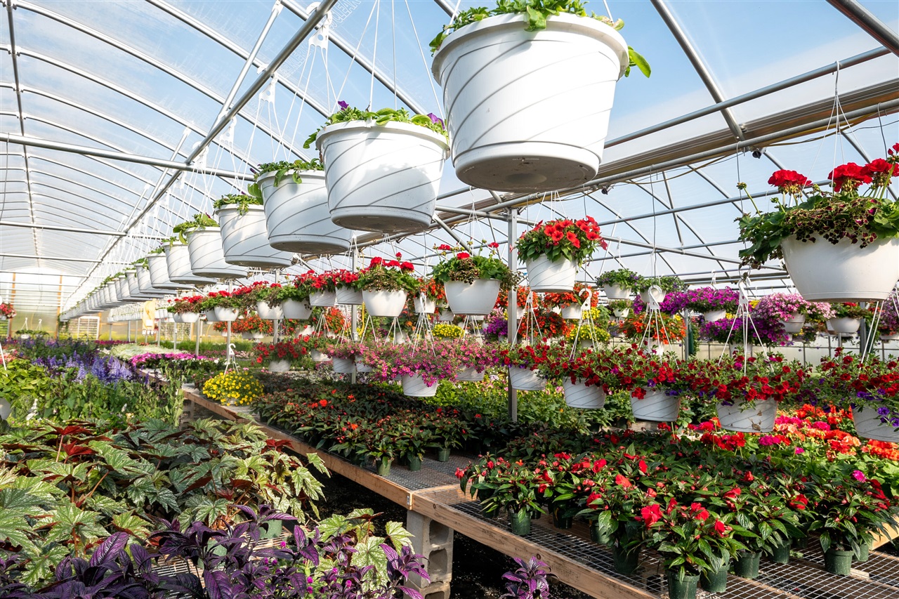 8627 Cleveland Avenue, Baroda, MI, 49101-9368