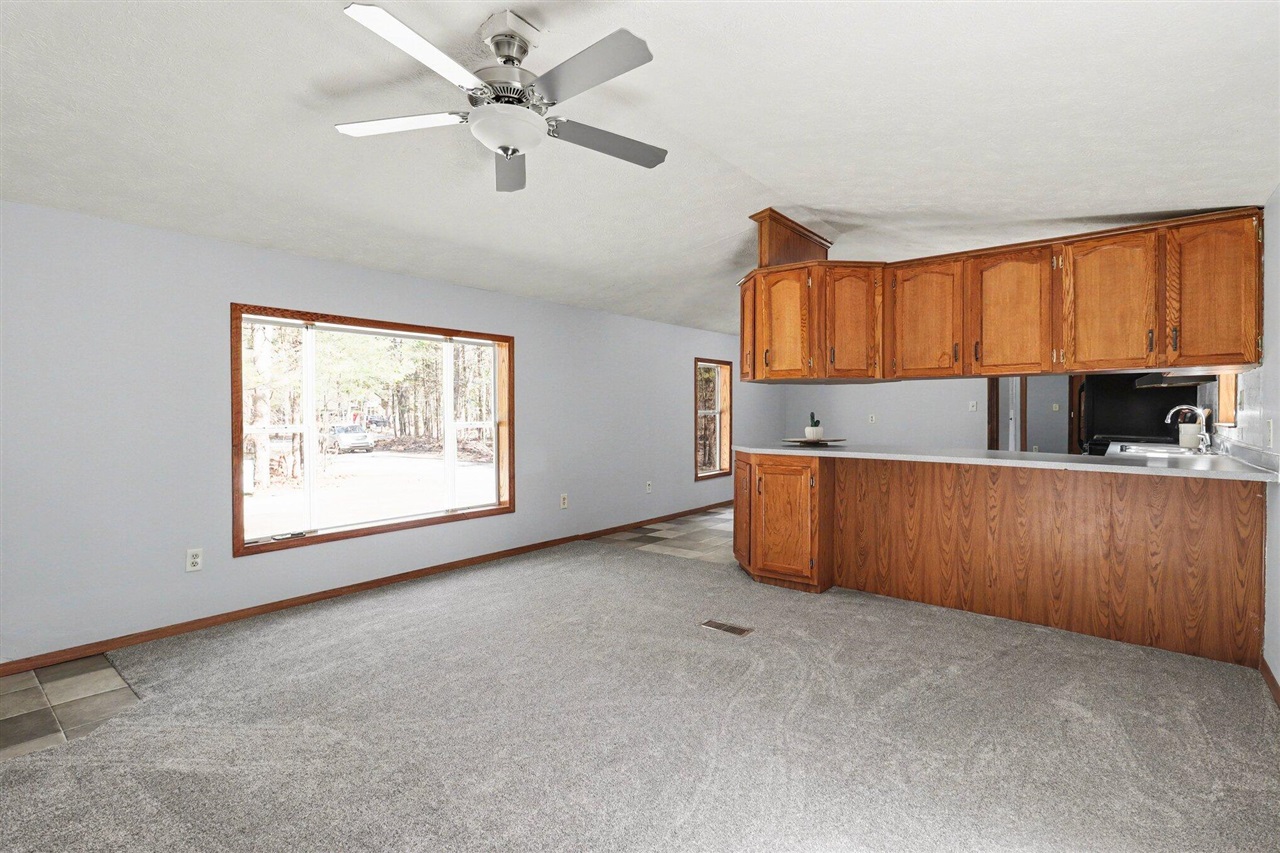 22085 W Wood Lake Road, Pierson, MI, 49339-9662