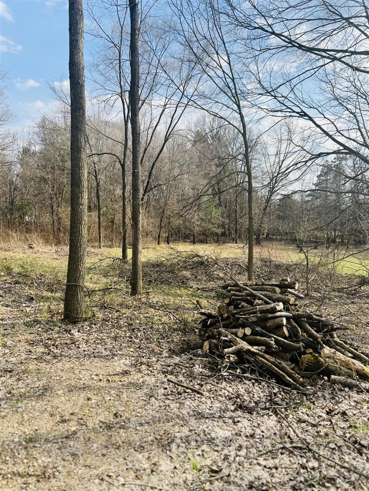 4436 Fennessey Street, Grand Rapids, MI, 49534-6542