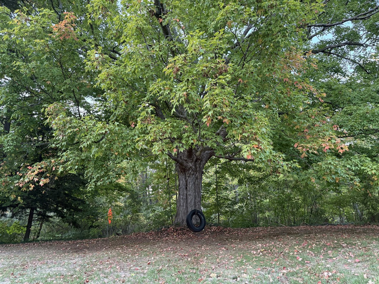 4436 Fennessey Street, Grand Rapids, MI, 49534-6542