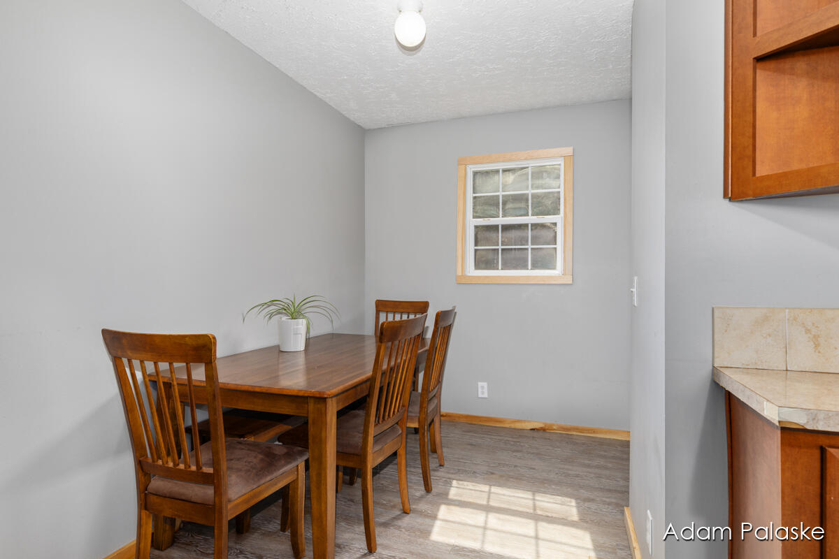 171 W Sidney Road, Sidney, MI, 48885-9745