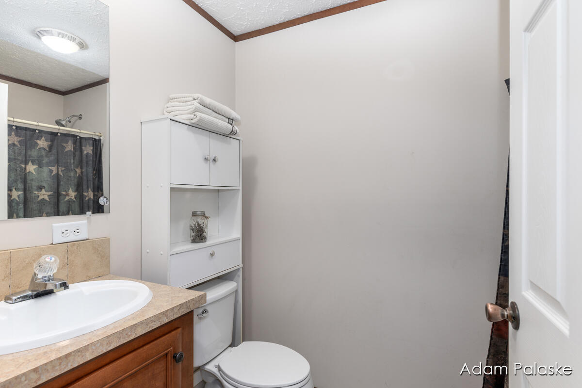 171 W Sidney Road, Sidney, MI, 48885-9745