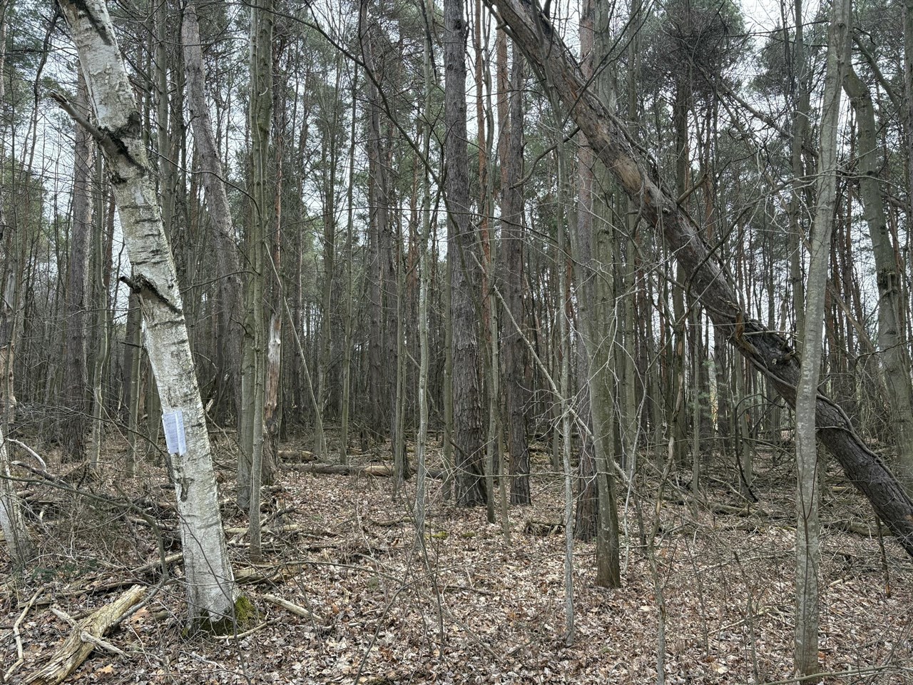 1512, 1476 22 Mile Road, Kent City, MI, 49330-9414