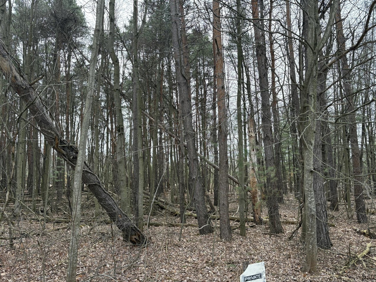 1512, 1476 22 Mile Road, Kent City, MI, 49330-9414