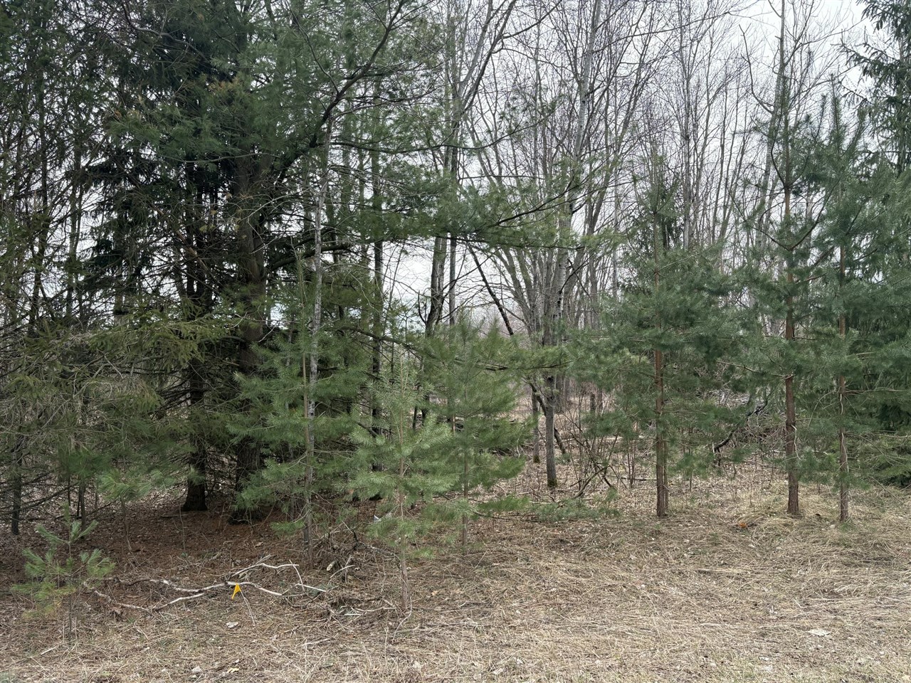 1512, 1476 22 Mile Road, Kent City, MI, 49330-9414