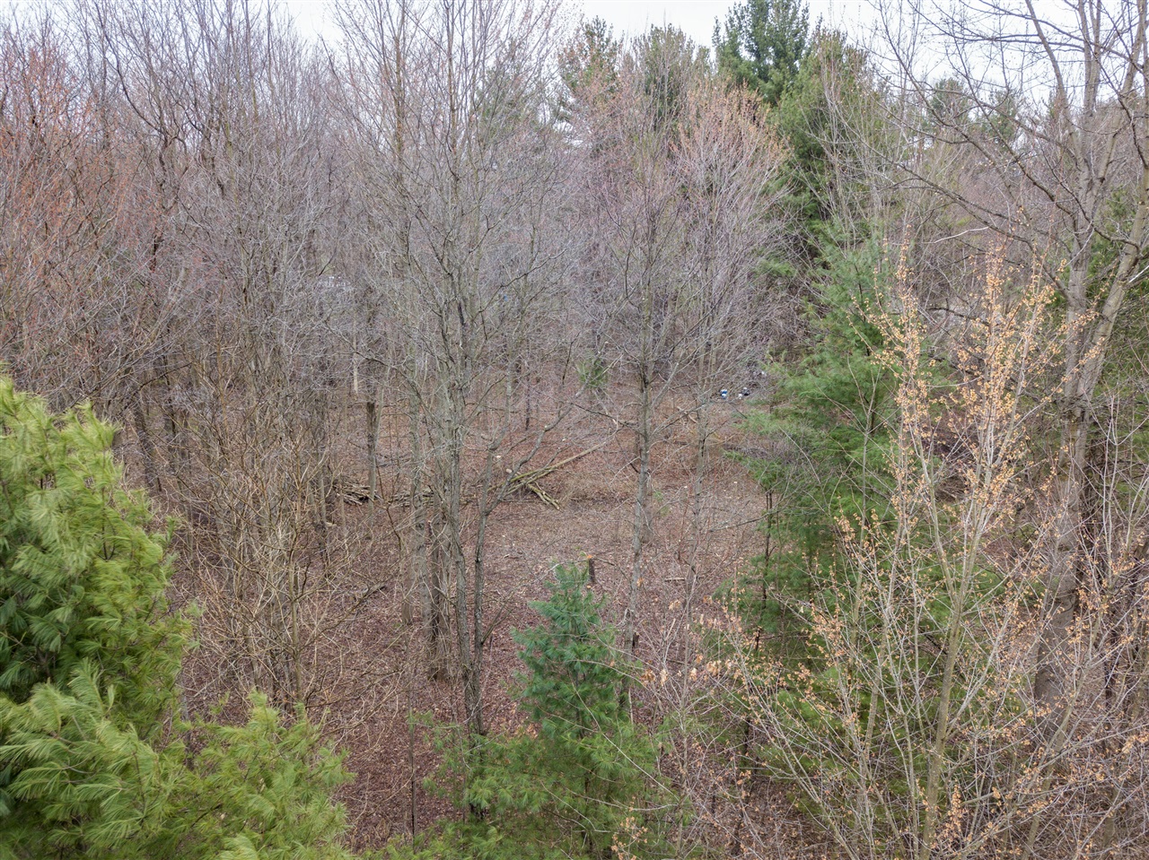 70386 M 43 Street, South Haven, MI, 49090-7742