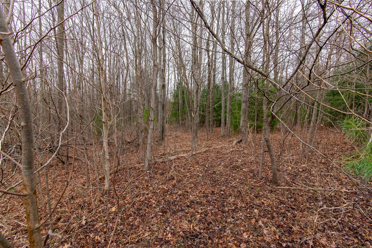 70386 M 43 Street, South Haven, MI, 49090-7742