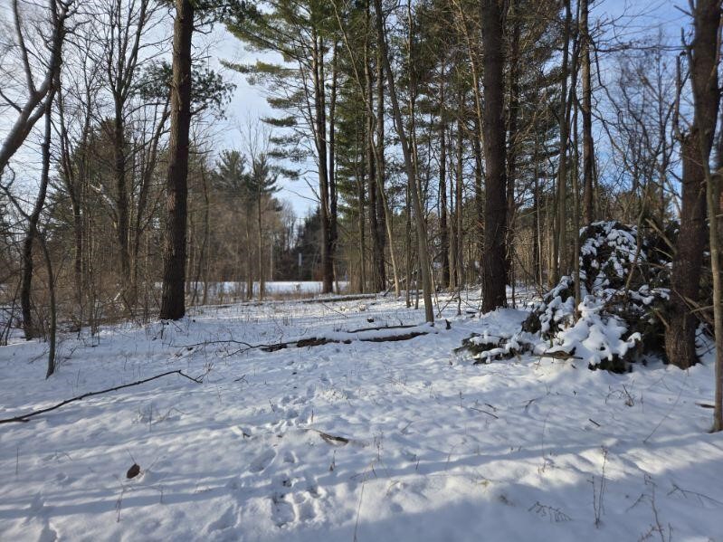 70386 M 43 Street, South Haven, MI, 49090-7742