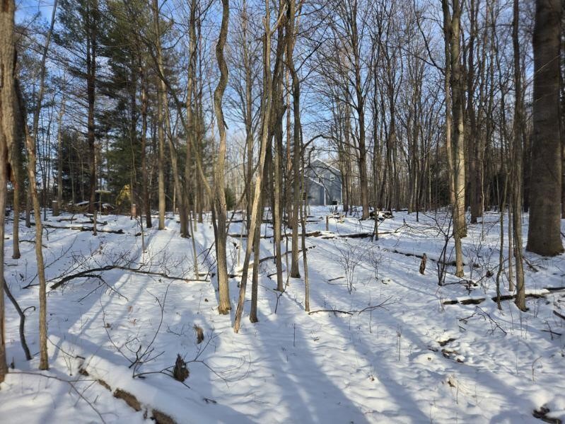 70386 M 43 Street, South Haven, MI, 49090-7742