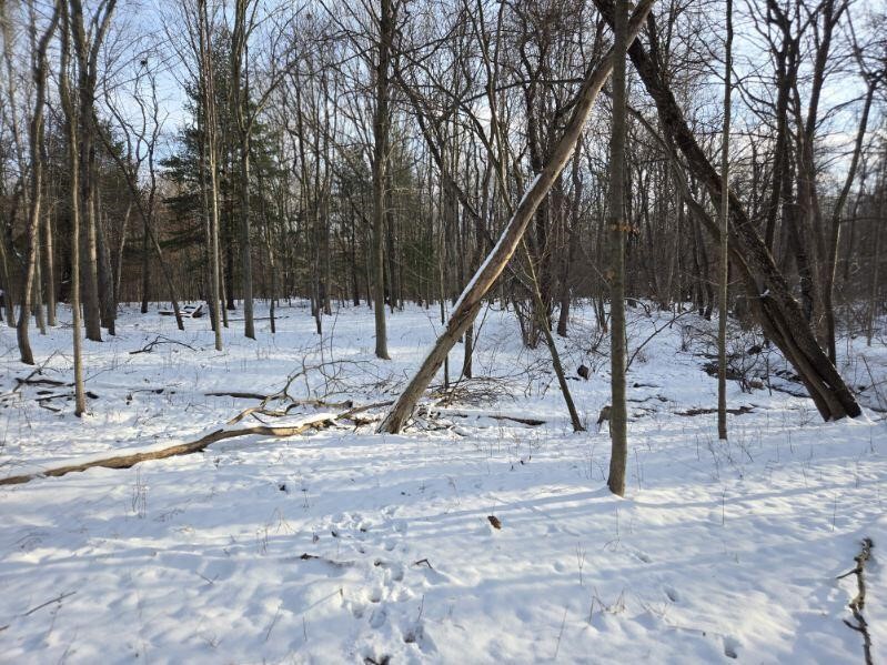 70386 M 43 Street, South Haven, MI, 49090-7742