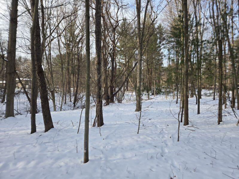 70386 M 43 Street, South Haven, MI, 49090-7742