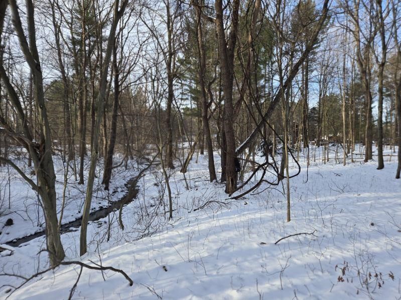 70386 M 43 Street, South Haven, MI, 49090-7742