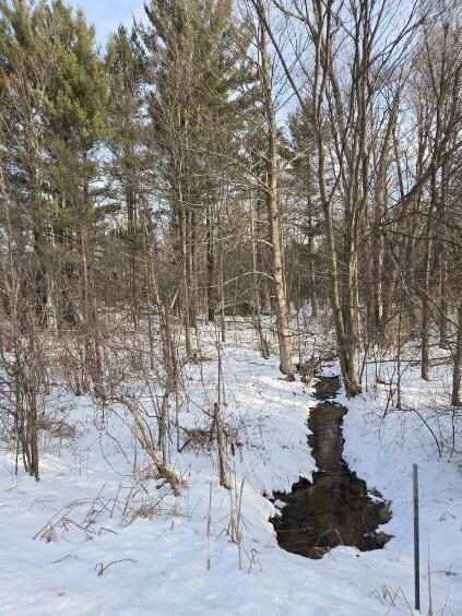 70386 M 43 Street, South Haven, MI, 49090-7742