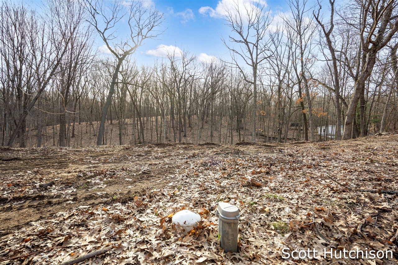 4704 Wheat Drive, Lowell, MI, 49331-9292