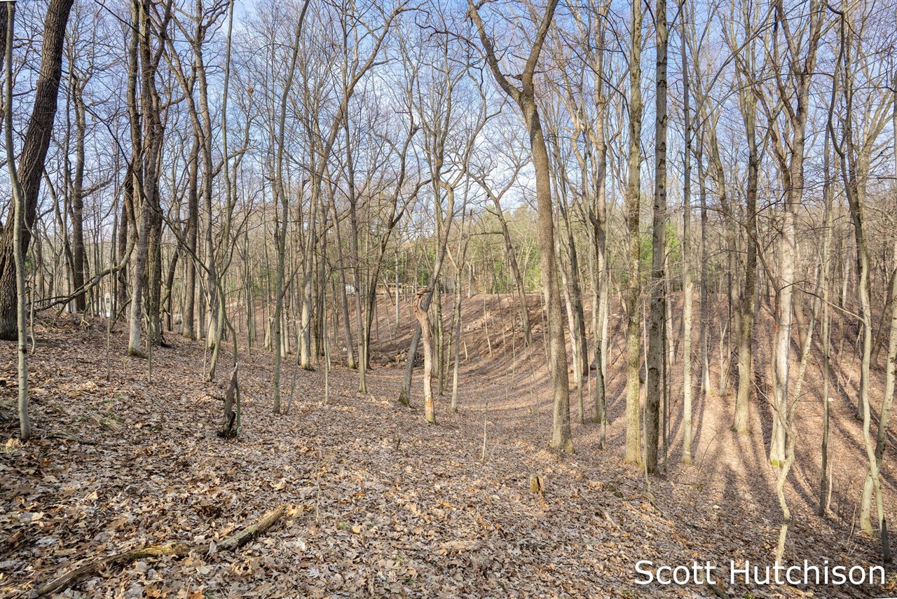 4704 Wheat Drive, Lowell, MI, 49331-9292