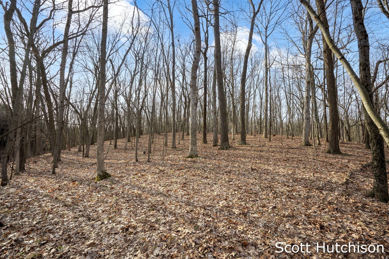 4704 Wheat Drive, Lowell, MI, 49331-9292