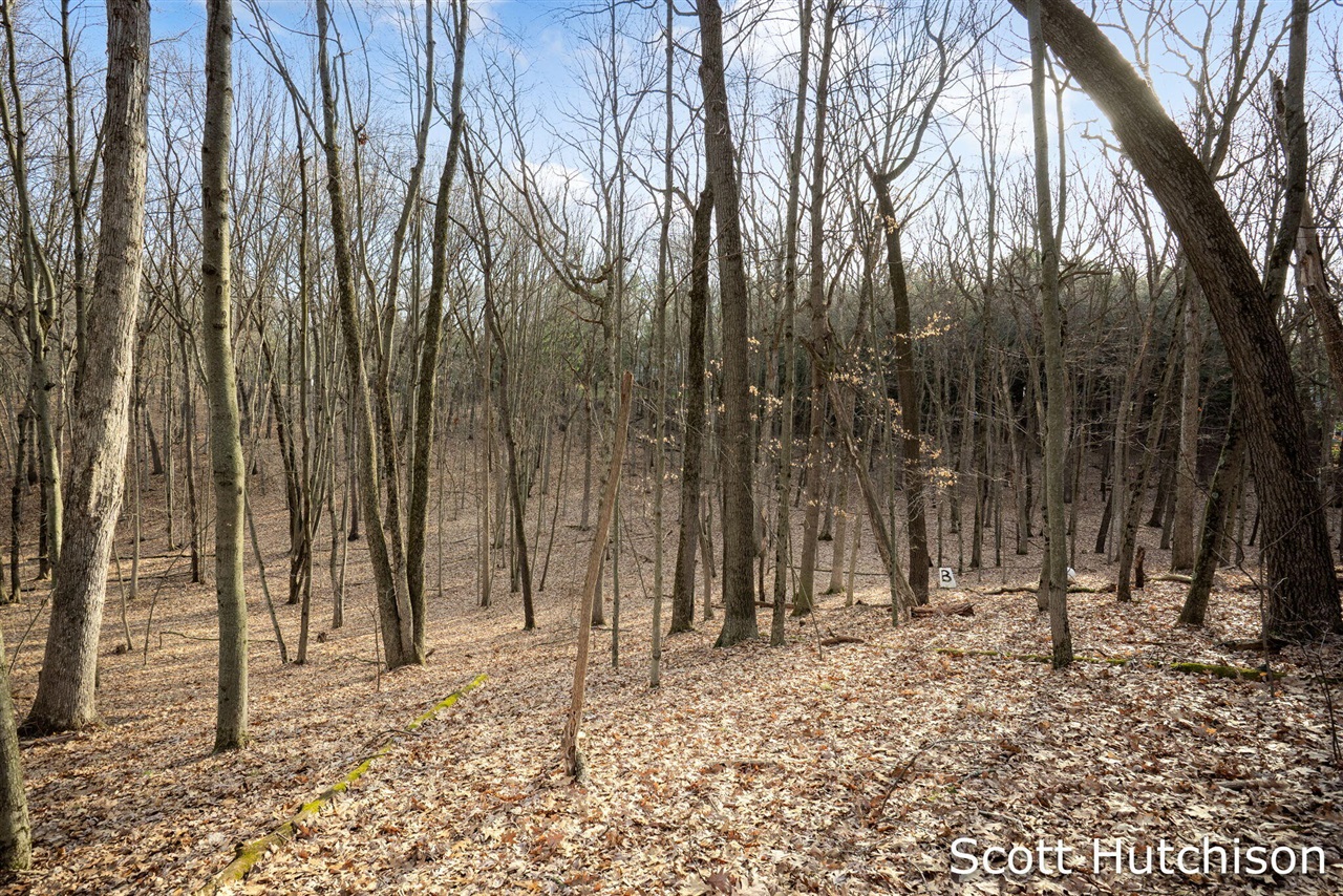 4704 Wheat Drive, Lowell, MI, 49331-9292