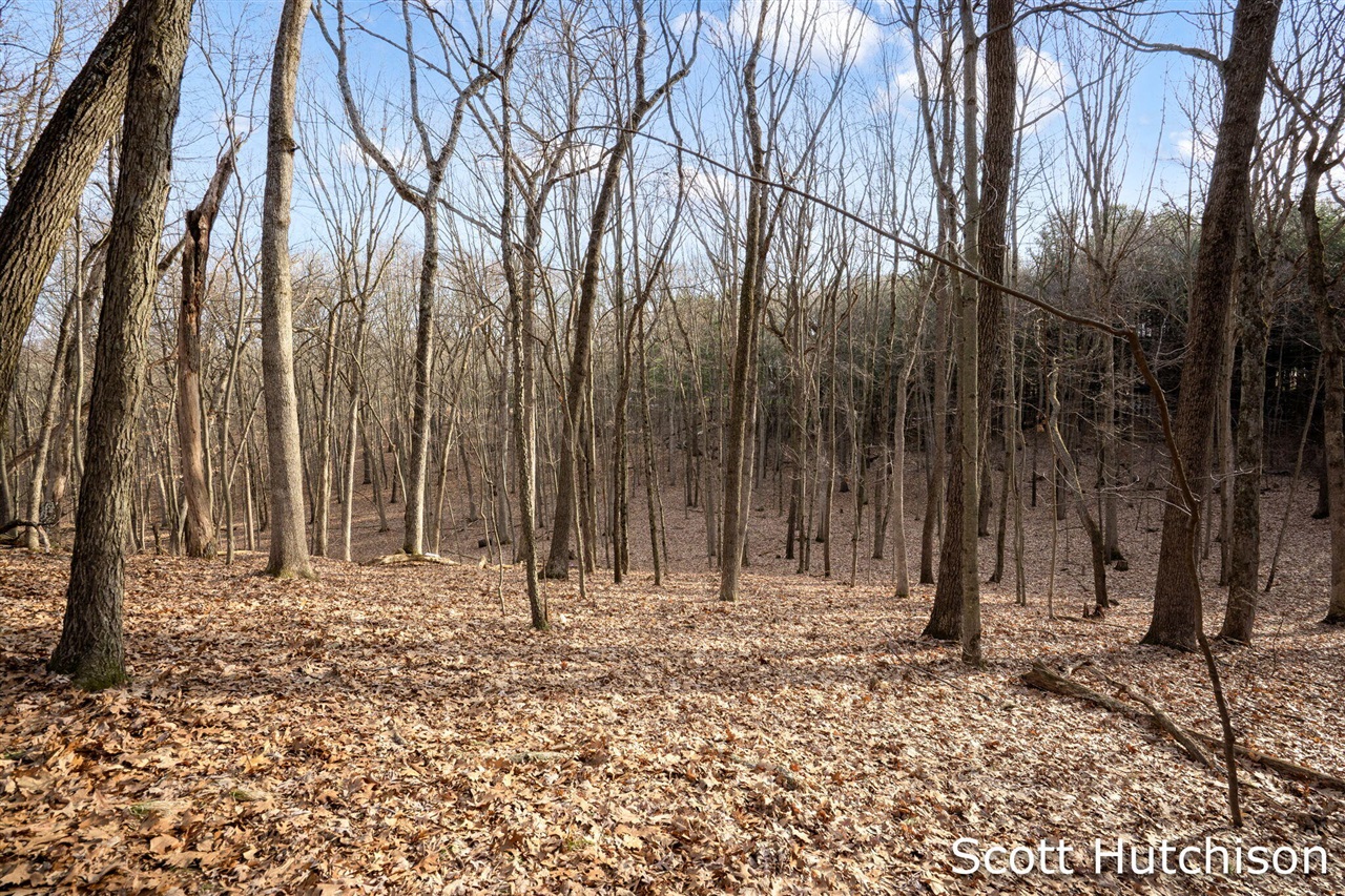 4704 Wheat Drive, Lowell, MI, 49331-9292