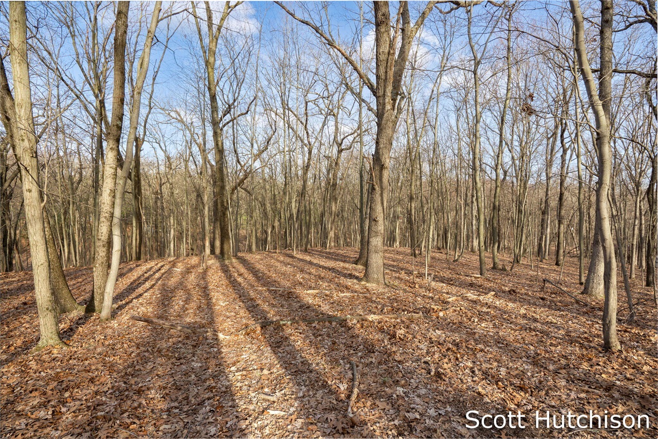 4704 Wheat Drive, Lowell, MI, 49331-9292