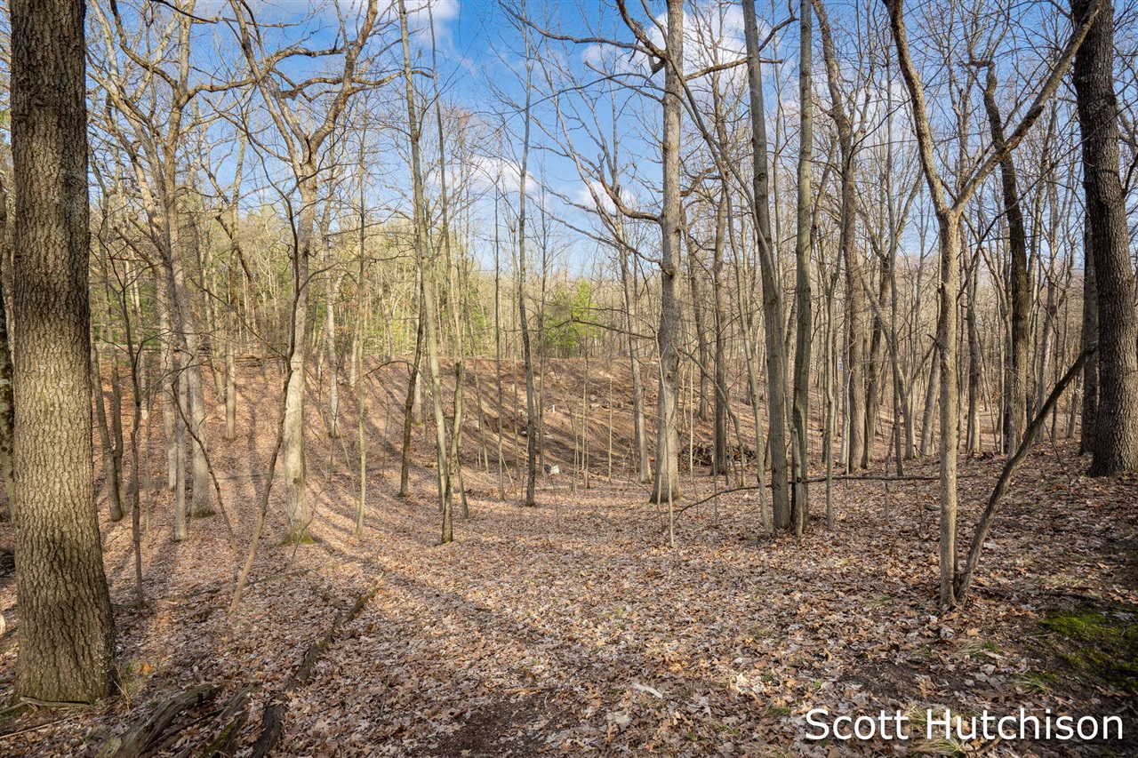 4704 Wheat Drive, Lowell, MI, 49331-9292