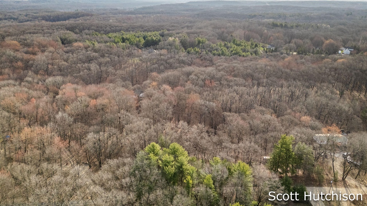 4704 Wheat Drive, Lowell, MI, 49331-9292