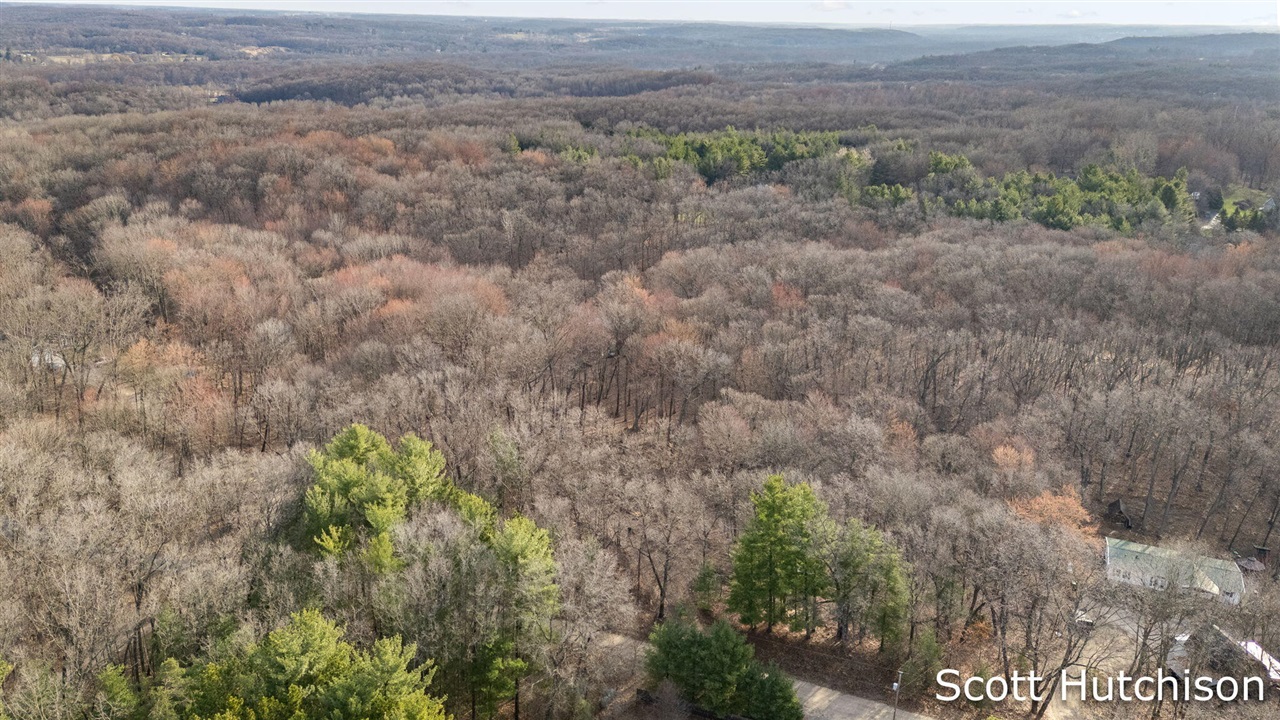 4704 Wheat Drive, Lowell, MI, 49331-9292