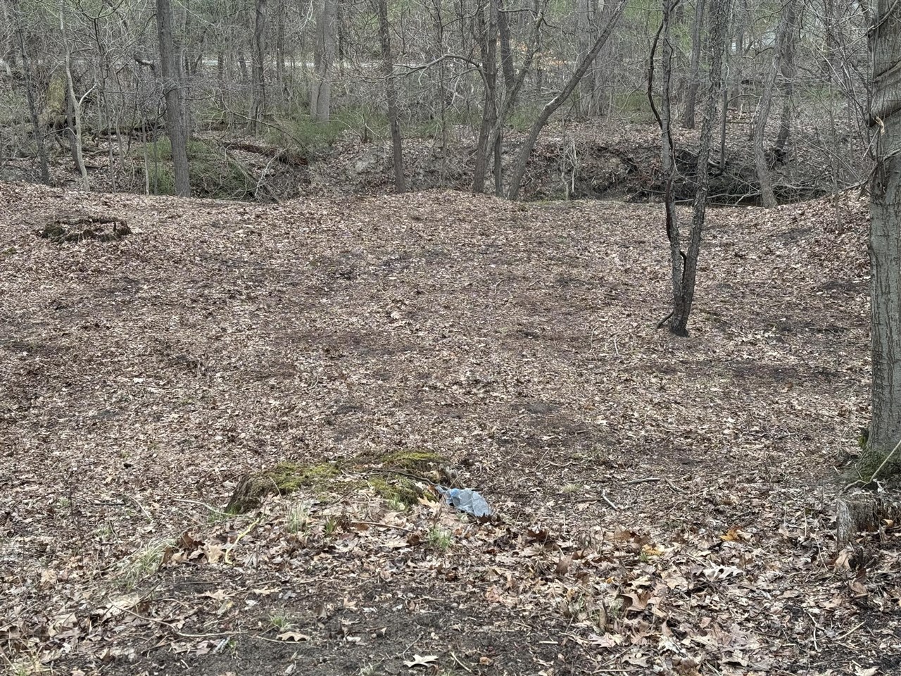 4202 Grand Bch Road, Update, MI, 49117