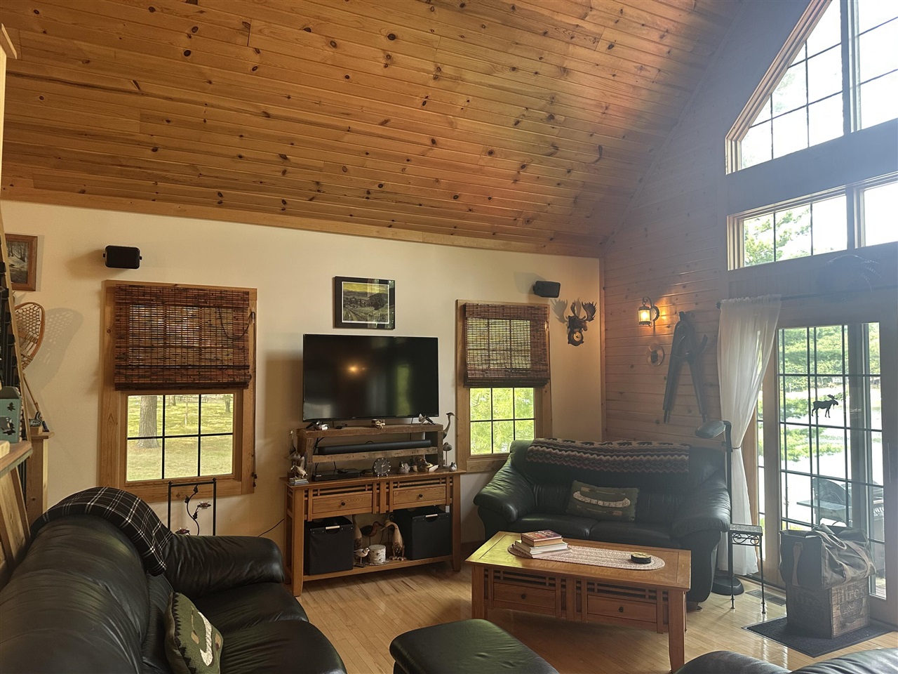 10022 S Rebecca Road, Baldwin, MI, 49304-8806