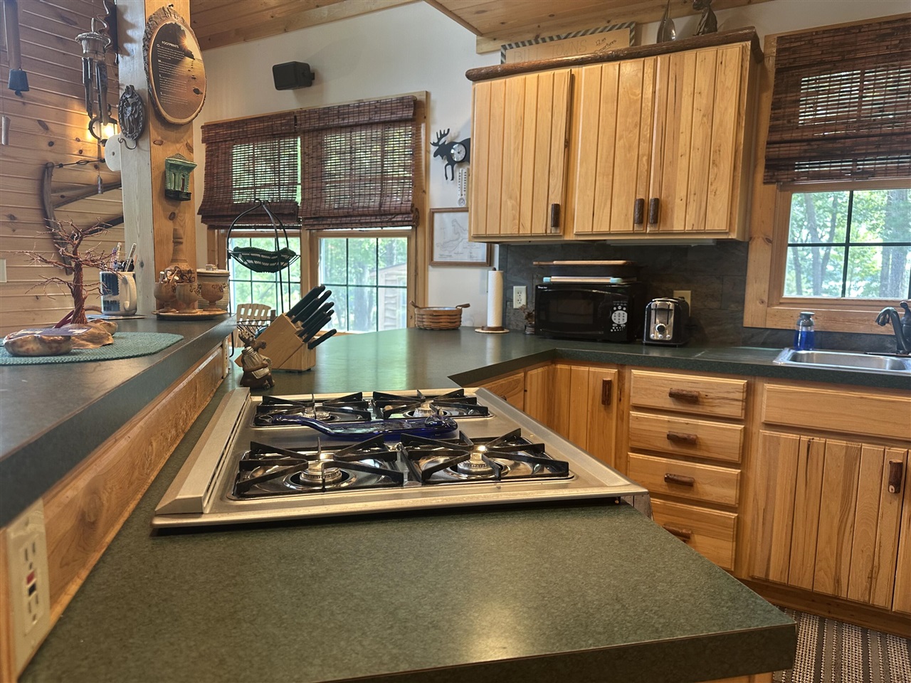 10022 S Rebecca Road, Baldwin, MI, 49304-8806