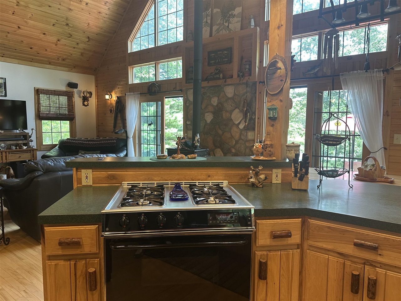 10022 S Rebecca Road, Baldwin, MI, 49304-8806