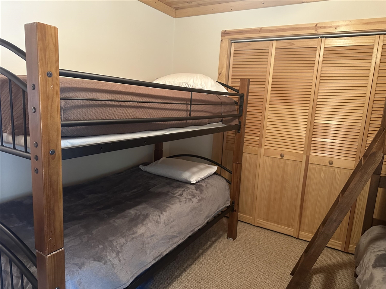 10022 S Rebecca Road, Baldwin, MI, 49304-8806