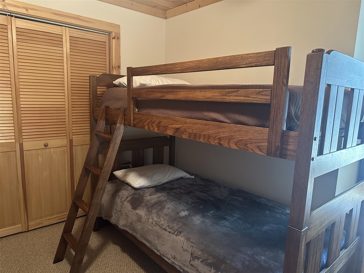 10022 S Rebecca Road, Baldwin, MI, 49304-8806