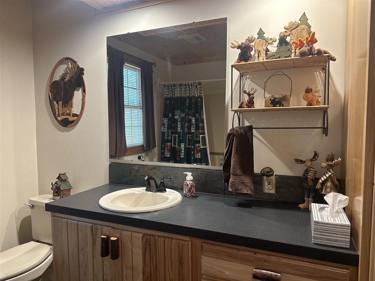 10022 S Rebecca Road, Baldwin, MI, 49304-8806