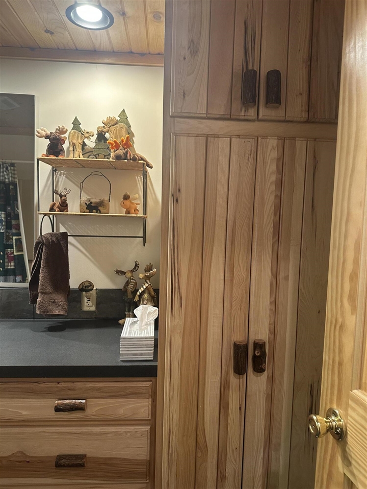 10022 S Rebecca Road, Baldwin, MI, 49304-8806