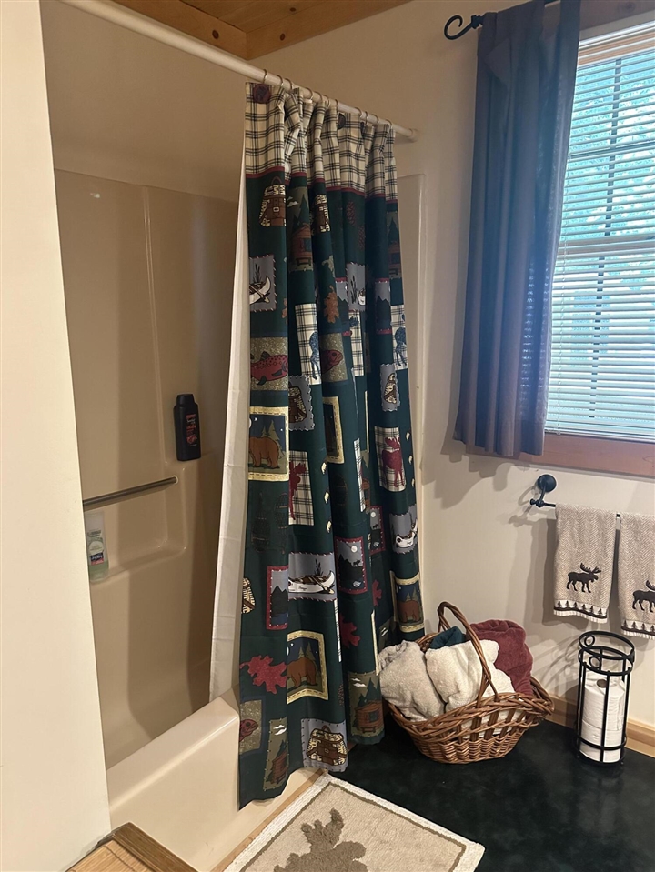 10022 S Rebecca Road, Baldwin, MI, 49304-8806