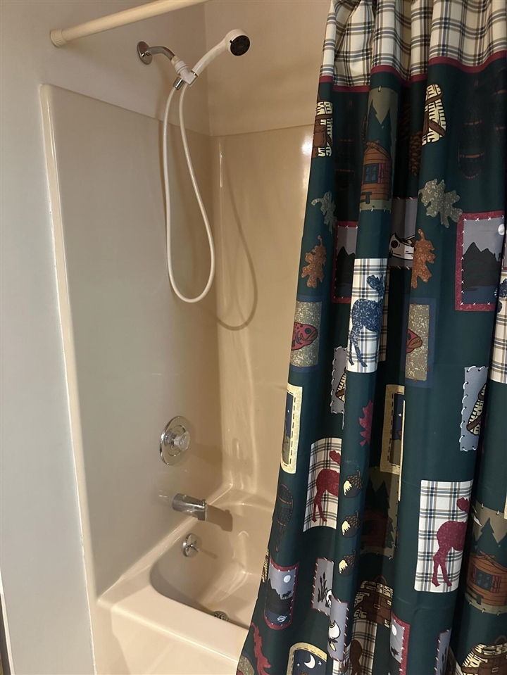 10022 S Rebecca Road, Baldwin, MI, 49304-8806