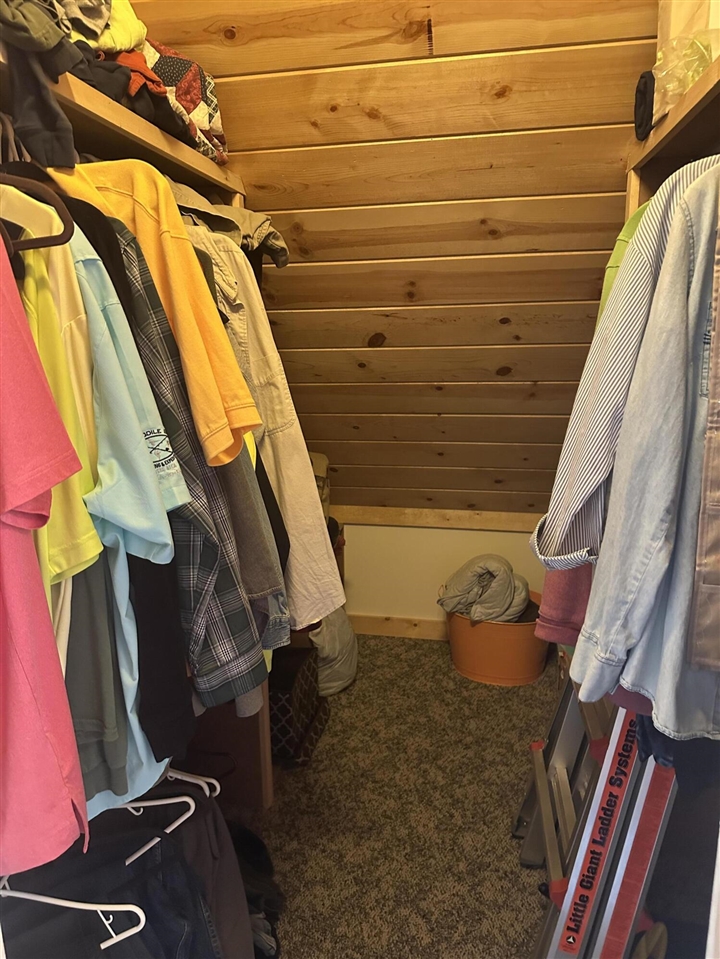 10022 S Rebecca Road, Baldwin, MI, 49304-8806