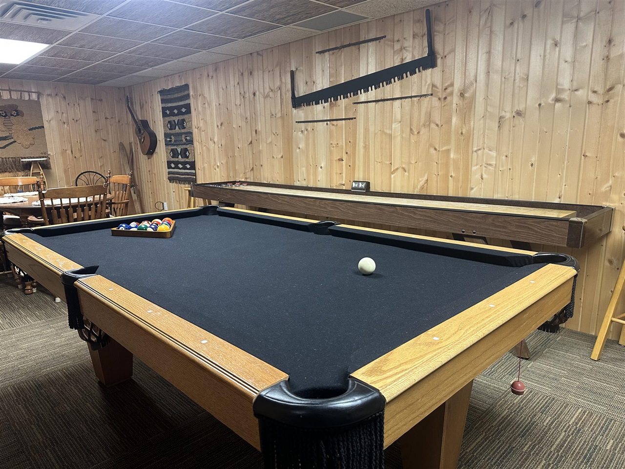 10022 S Rebecca Road, Baldwin, MI, 49304-8806