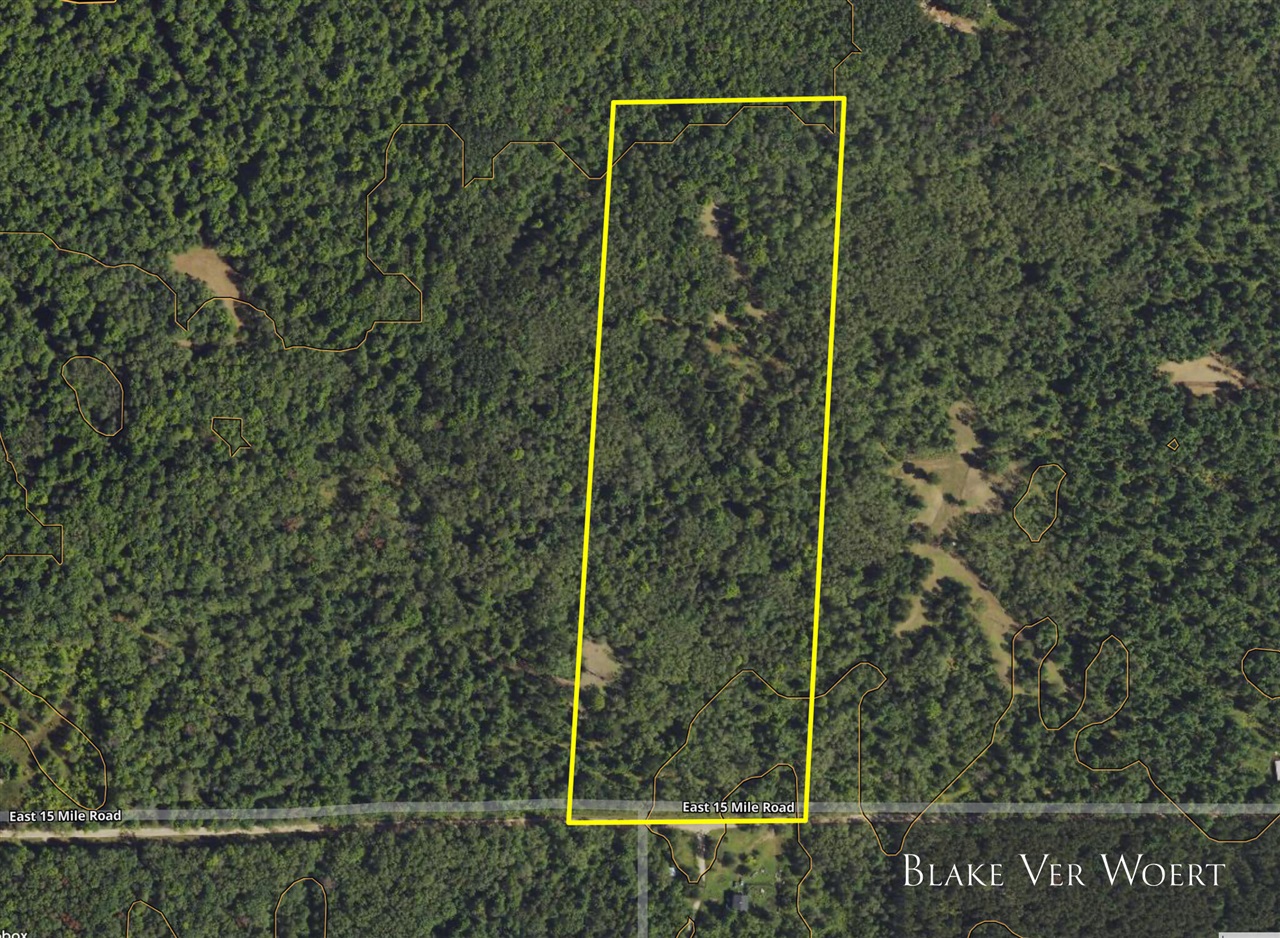 V/L 27A E 15 Mile Road, Bitely, MI, 49309