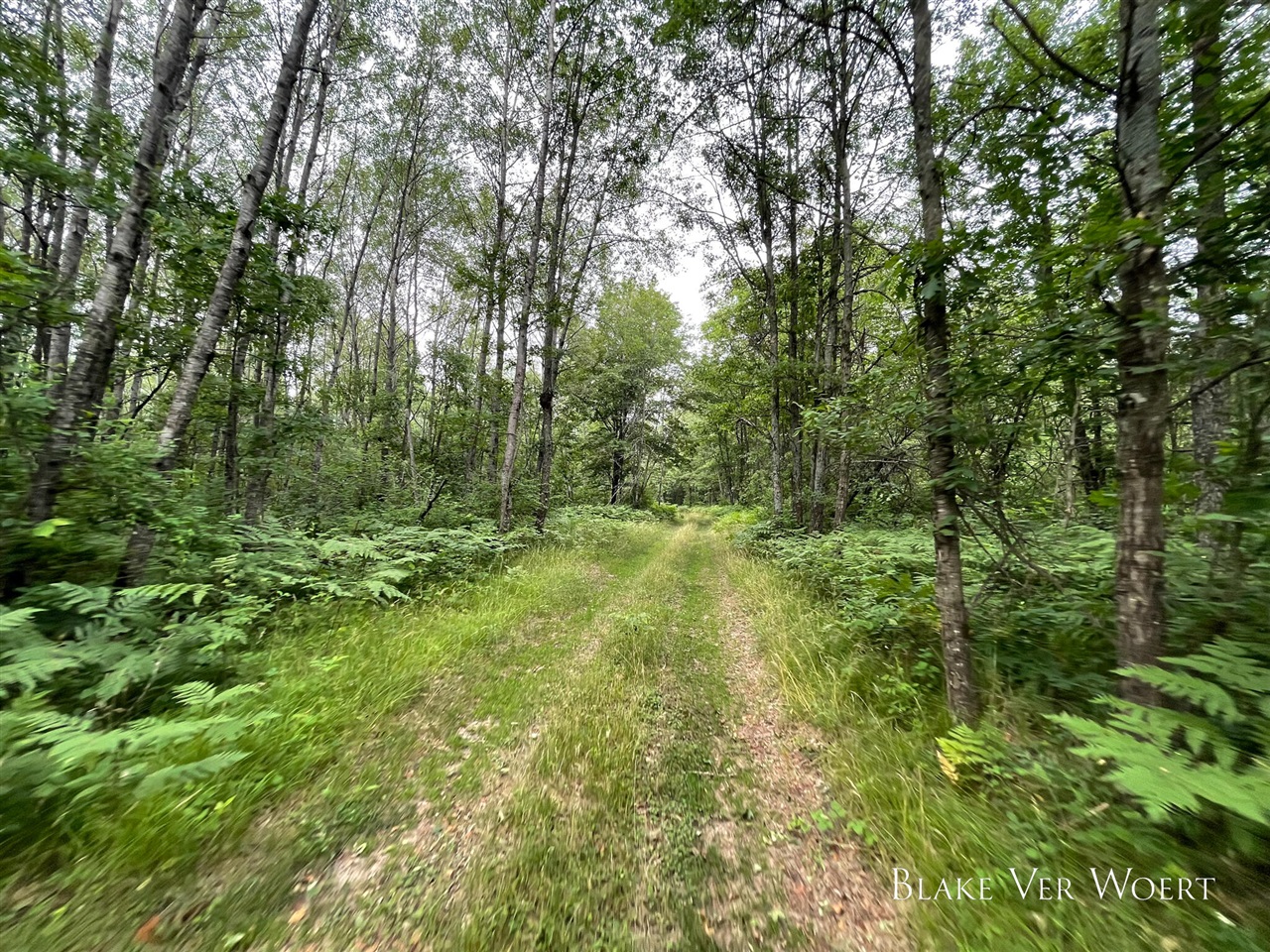 V/L 27A E 15 Mile Road, Bitely, MI, 49309