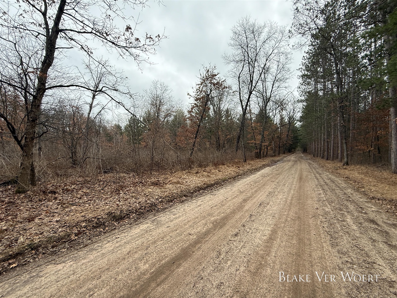 V/L 27A E 15 Mile Road, Bitely, MI, 49309
